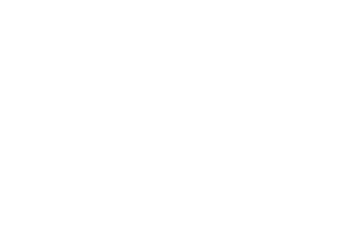 Logo en.burliga.com