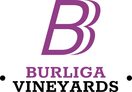 Logo en.burliga.com